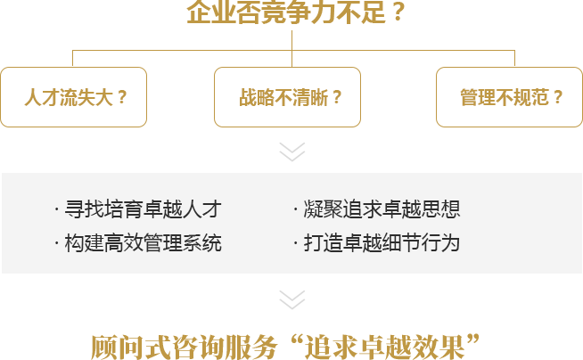 顾问式咨询项目助力企业成长